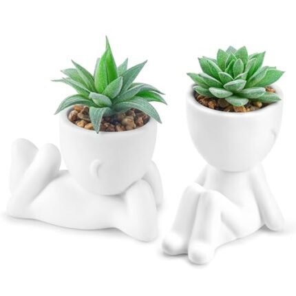 Der Rose 2 Pack Fake Plants Succulents Plants Artificial for Living Room Home Bathroom Office Decor