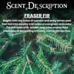 Snowman Christmas Candle | Fraser Fir Pine Scent | Non-Toxic Soy Wax | Handmade in the USA - Image 2