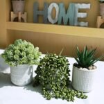 Set of 3 Assorted Faux Succulent Plants: Aloe, String of Pearls, Hops in Gray Geometric Pots for Home & Office Décor. - Image 6