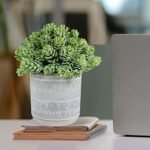 Set of 3 Assorted Faux Succulent Plants: Aloe, String of Pearls, Hops in Gray Geometric Pots for Home & Office Décor. - Image 7