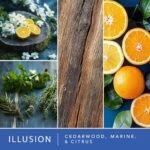 Scentsationals Illusion Wax Melts – 10oz (24 Cubes) for Long-Lasting, Strong Fragrance. - Image 2