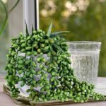Set of 3 Assorted Faux Succulent Plants: Aloe, String of Pearls, Hops in Gray Geometric Pots for Home & Office Décor. - Image 8