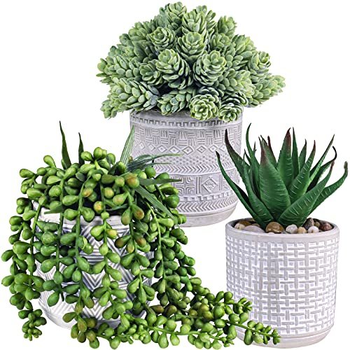 Set of 3 Assorted Faux Succulent Plants: Aloe, String of Set of 3 Assorted Small Potted Succulent Plants Fake Aloe String of Pearls Hops Succulents in Gray Geometric Concrete Ceramic Pots for Gifts Modern Home Office Desk Table Indoor Outdoor Greenery Decor