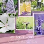 Havenwick First Bloom 22-oz Candle: Long-Lasting 110-130 Hours, Cotton Wick, Perfect for New Home Gifts & Housewarming. - Image 4