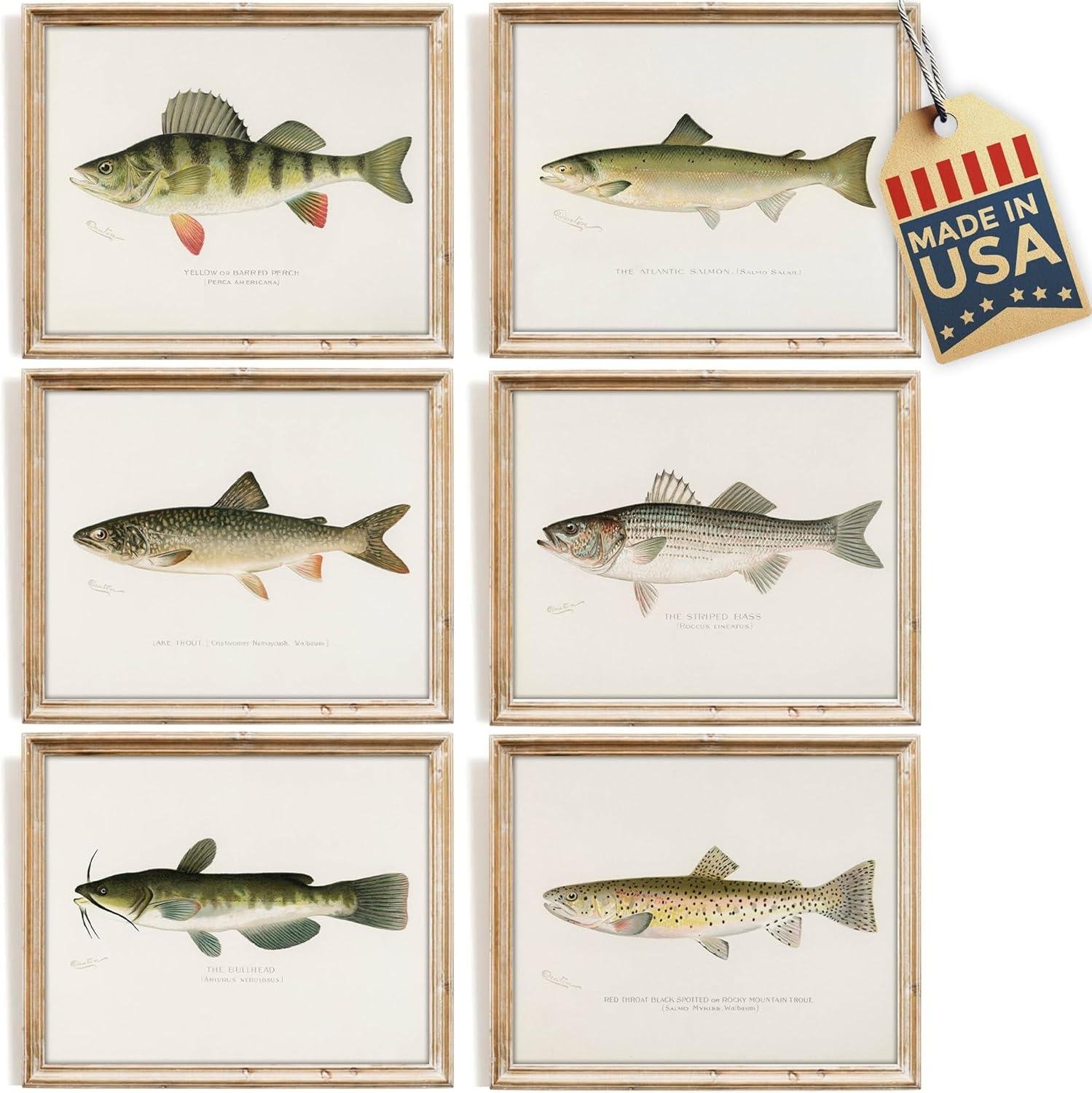 We Hooked a Classic: Dream Big Printables Fish Art Set