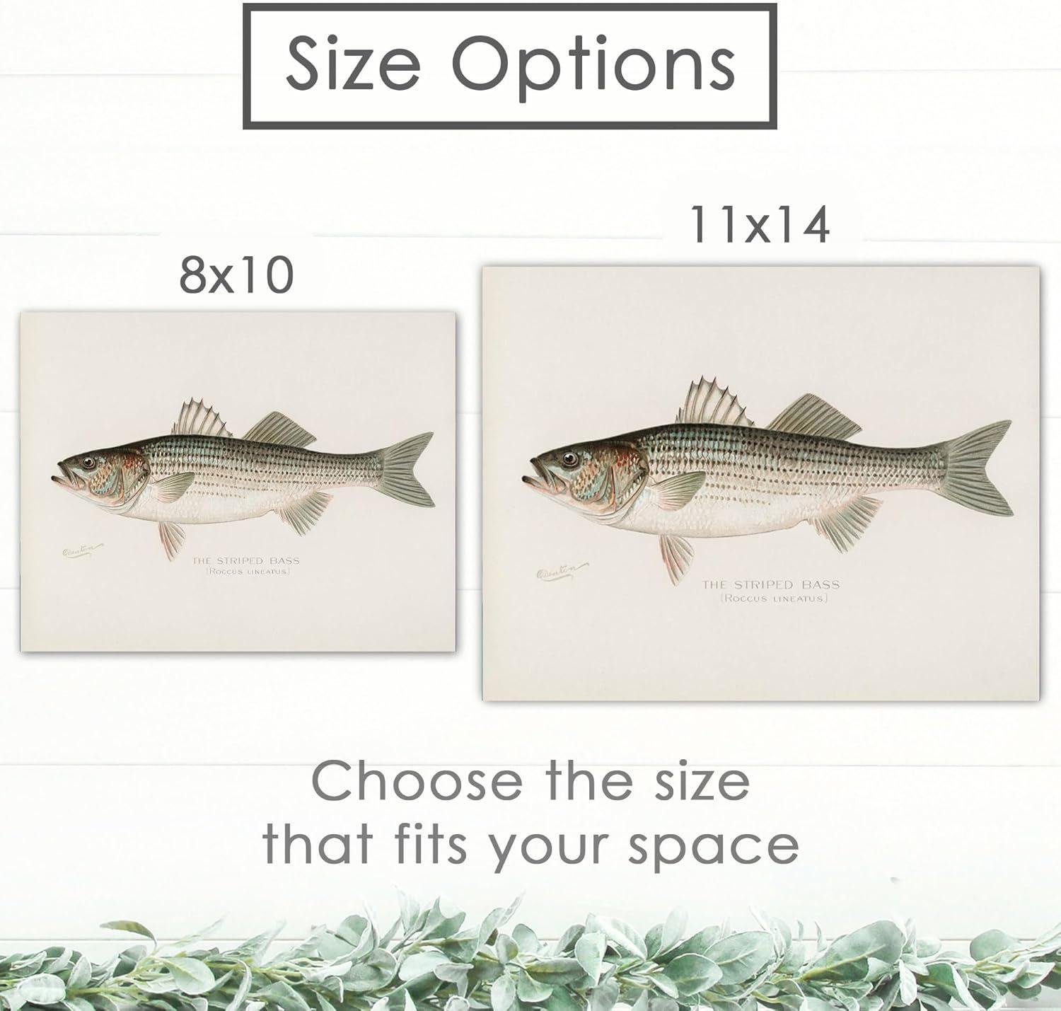 We Hooked a Classic: Dream Big Printables Fish ‍art Set