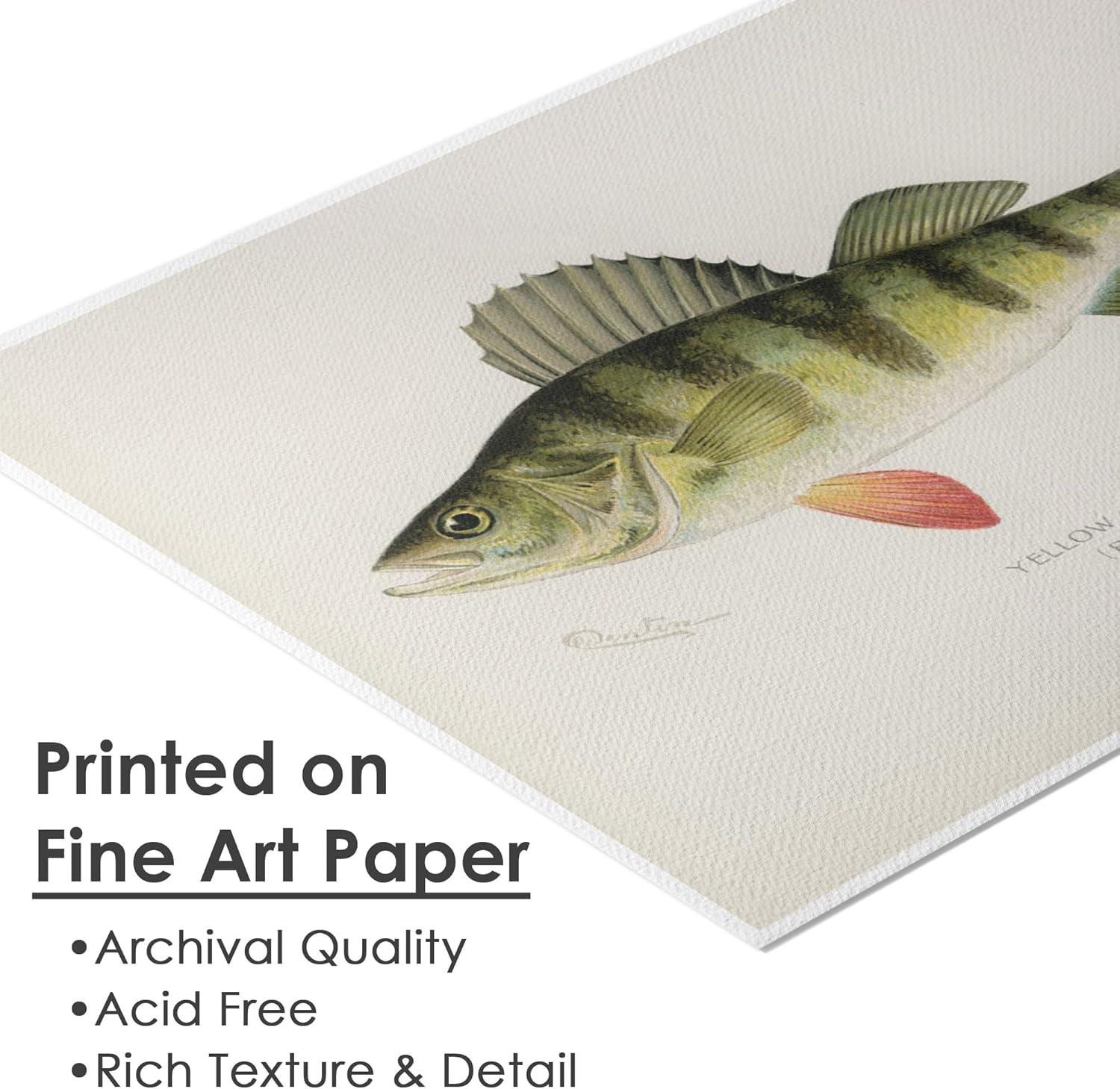 We hooked a ⁣Classic: Dream⁢ Big Printables Fish Art Set