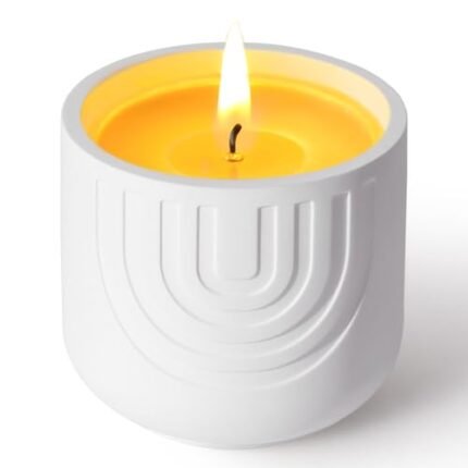 Viyffo Handmade White Ceramic Jar Scented Candle – Lavender & French Cade, 6.35oz Gift-Size Non Toxic Soy Candle, Luxury Home Fragrance for Winter Sleep, Relaxation, Meditation & Spa