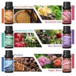 HIQILI Women’s Fragrance Oil Set - 6x10ml Essential Oils for Candles, Soaps, Diffusers & Aromatherapy. Sweet Flower Scents for Home & Car. - Image 3